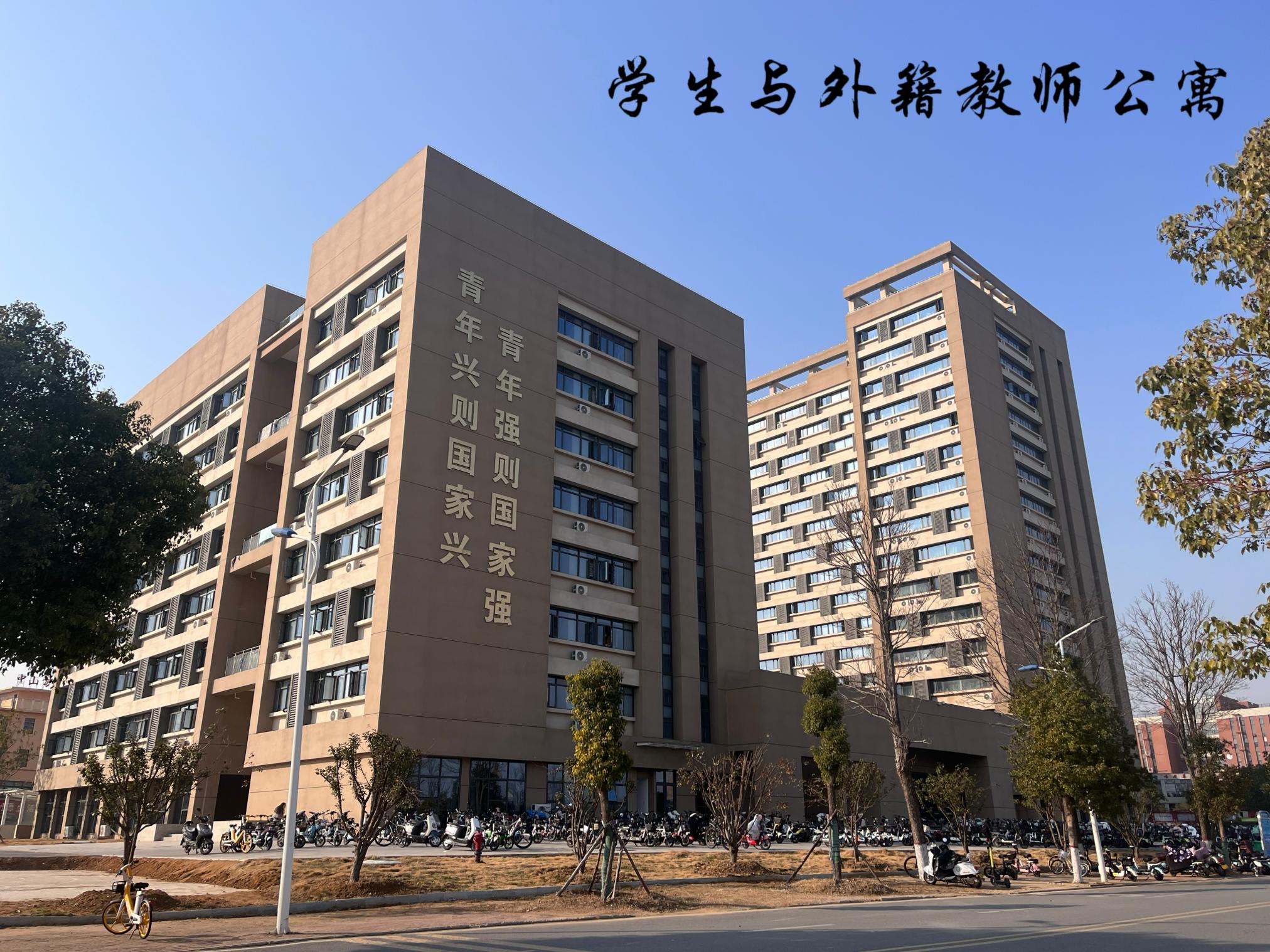 image11.jpeg